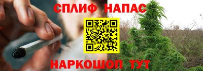 индика Ирбит
