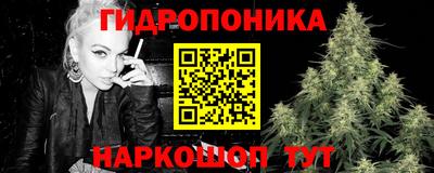 индика Ирбит