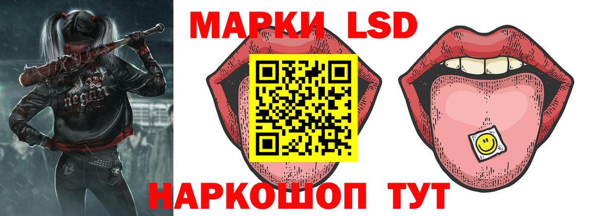 ЛСД экстази кислота  LSD-25 экстази кислота  Вход с VPN  Курчалой 