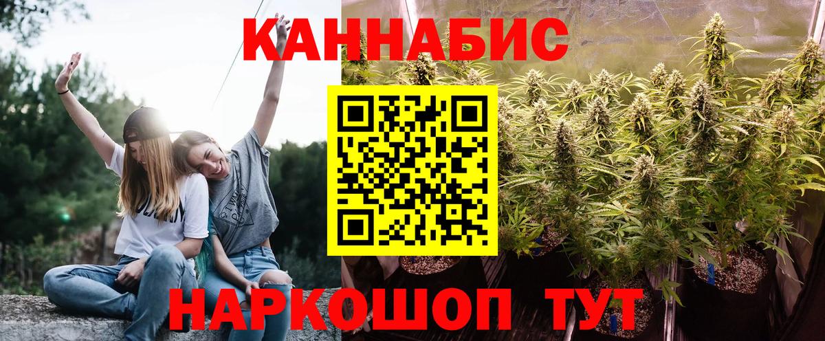 Марихуана семена Курчалой